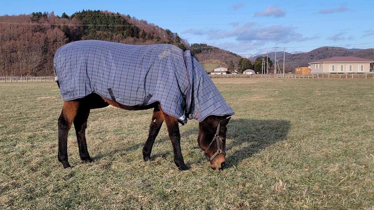 23d6709f6c18fb00e1d49bef05880136-1765758448.jpg 23d6709f6c18fb00e1d49bef05880136-1765758448.jpg